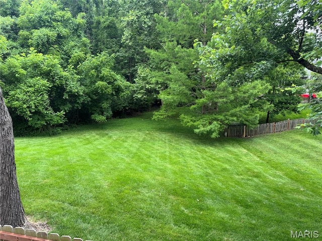 5810 White Pine Dr, Saint Louis, MO 63129 - view of yard