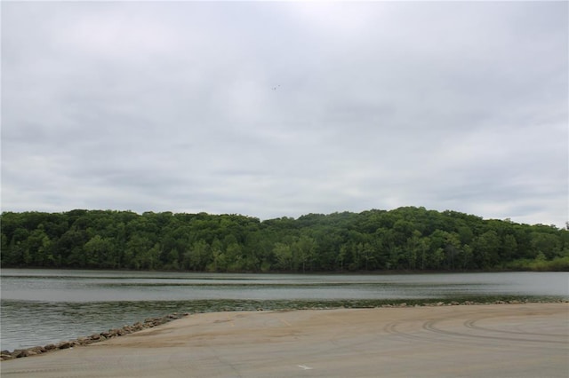 view of street featuring a forest view and a water view