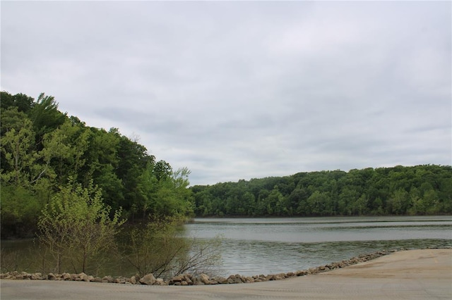 water view with a forest