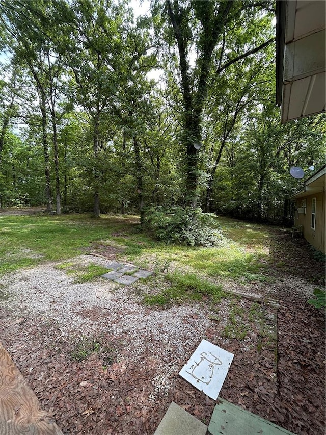 view of yard