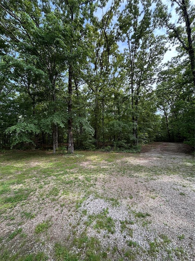 view of yard featuring a view of trees