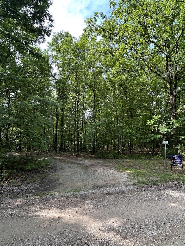 view of yard featuring a view of trees