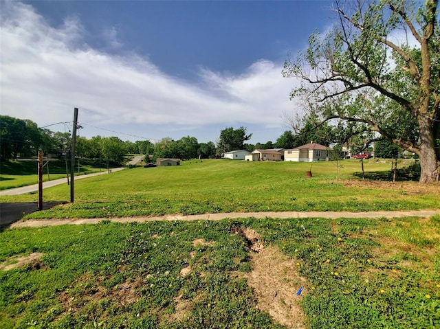 517 N 4th St, La Grange, MO 63448 - view of green lawn