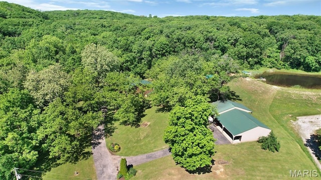 14938 Pike 139, Bowling Green, MO 63334 - aerial overview of property's location with a forest