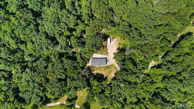 8708 Canyon Ln, Dittmer, MO 63023 - photo 46