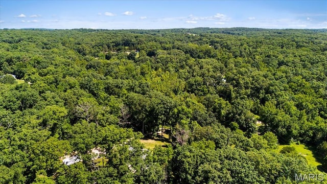 8708 Canyon Ln, Dittmer, MO 63023 - photo 47