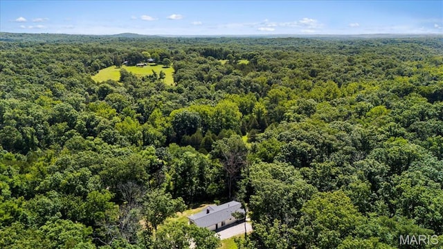 8708 Canyon Ln, Dittmer, MO 63023 - photo 48