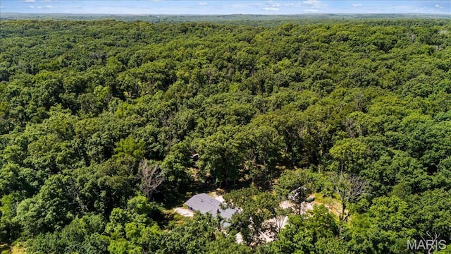 8708 Canyon Ln, Dittmer, MO 63023 - photo 49