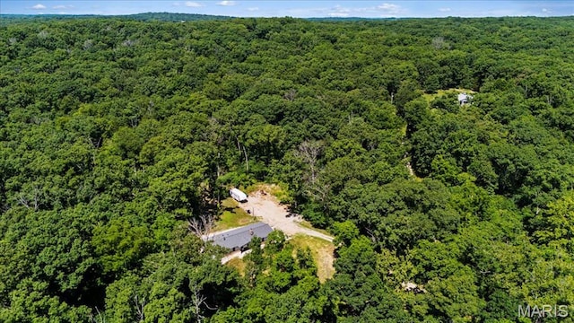 8708 Canyon Ln, Dittmer, MO 63023 - photo 50