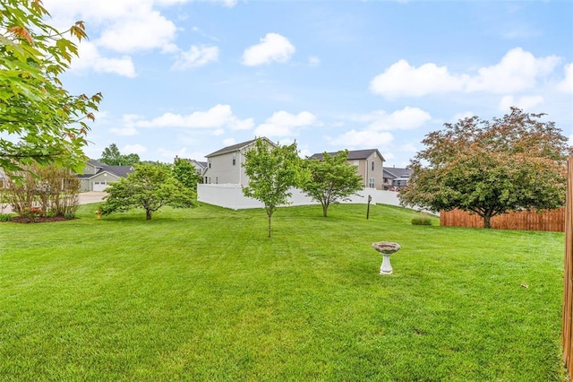 view of yard featuring a residential view