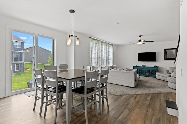 dining area featuring wood finished floors and ceiling fan
