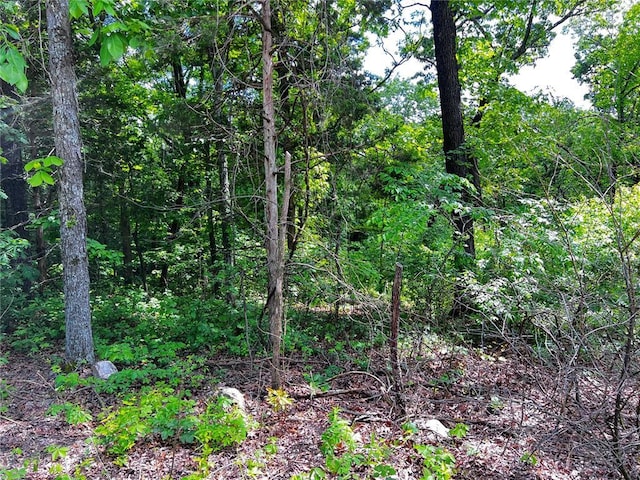 5918 Valley Dr, French Village, MO 63036 - photo 1