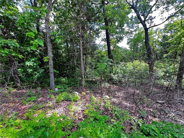 5918 Valley Dr, French Village, MO 63036 - photo 2
