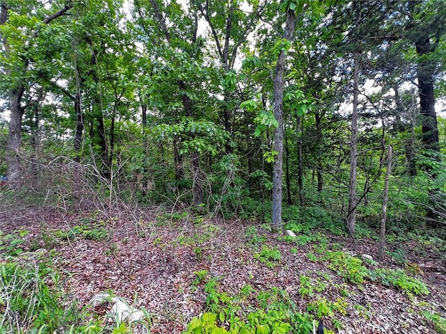 5918 Valley Dr, French Village, MO 63036 - photo 5