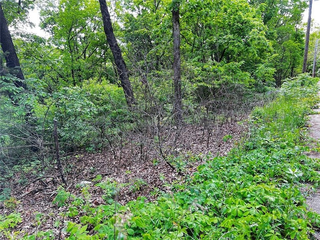 5918 Valley Dr, French Village, MO 63036 - photo 6