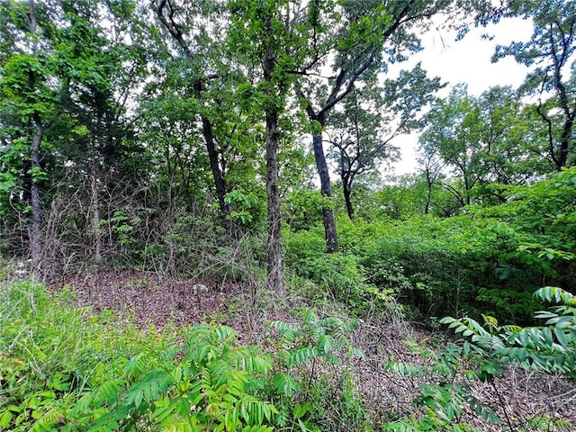 5918 Valley Dr, French Village, MO 63036 - photo 7