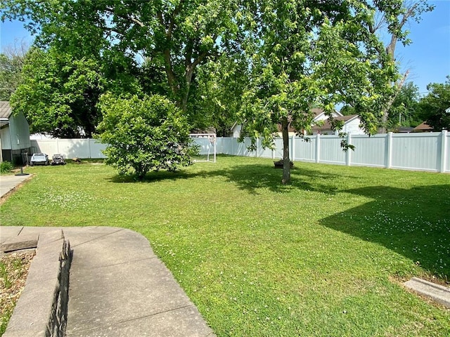 207 S Thorn St, Charleston, MO 63834 - photo 9