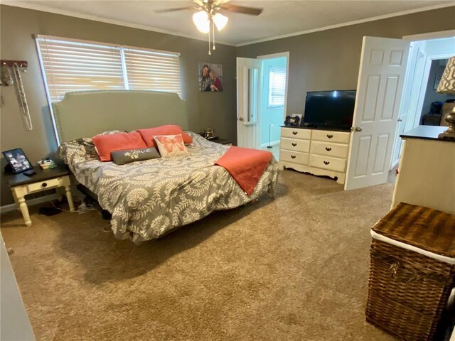 207 S Thorn St, Charleston, MO 63834 - photo 15