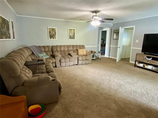207 S Thorn St, Charleston, MO 63834 - photo 23