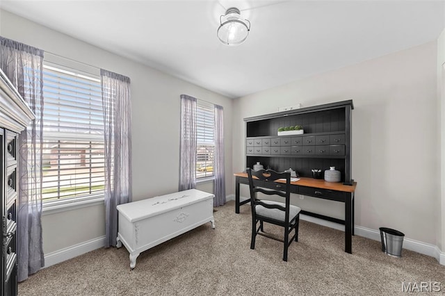205 Stephanie Lynn Ct, Wentzville, MO 63385 - home office with plenty of natural light, light carpet, and baseboards