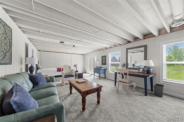205 Stephanie Lynn Ct, Wentzville, MO 63385 - view of carpeted living room