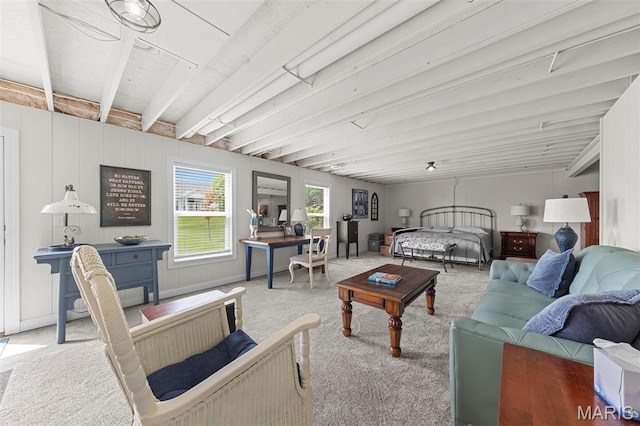 205 Stephanie Lynn Ct, Wentzville, MO 63385 - living room with light carpet and beamed ceiling