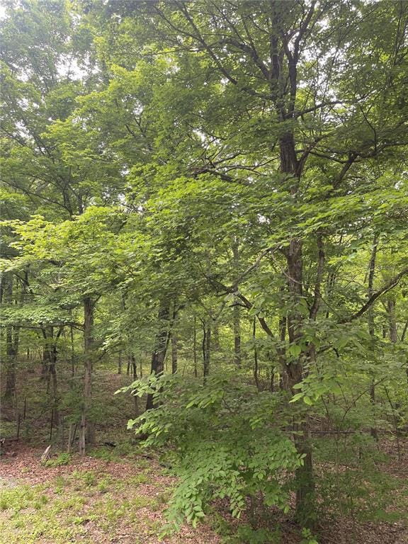 729 State Highway U, Burfordville, MO 63739 - view of woods