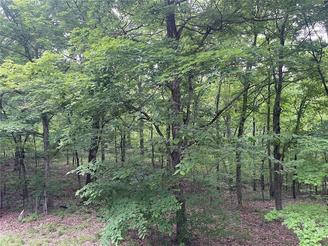 729 State Highway U, Burfordville, MO 63739 - view of tree filled area