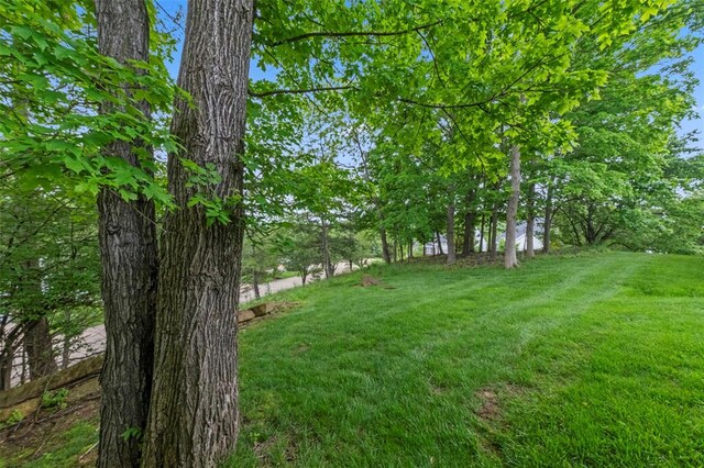 1008 Shire Ln, Eureka, MO 63025 - view of green lawn