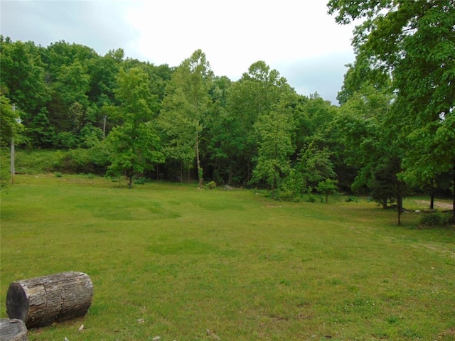 1184 Ripley 21n-10, Doniphan, MO 63935 - view of grassy yard featuring a view of trees
