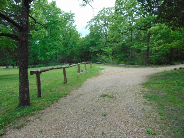 1184 Ripley 21n-10, Doniphan, MO 63935 - view of dirt / gravel road featuring a view of trees