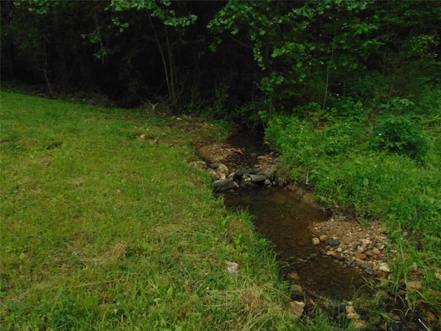 1184 Ripley 21n-10, Doniphan, MO 63935 - view of nature