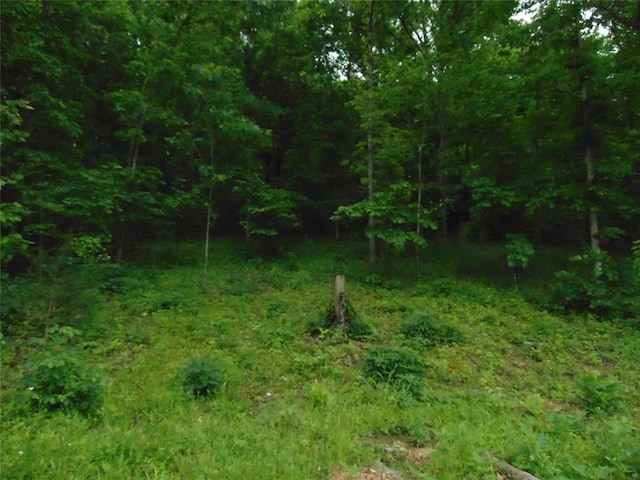1184 Ripley 21n-10, Doniphan, MO 63935 - view of wooded area