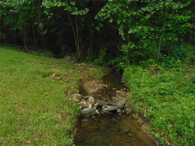 1184 Ripley 21n-10, Doniphan, MO 63935 - view of local wilderness