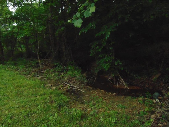 1184 Ripley 21n-10, Doniphan, MO 63935 - view of local wilderness