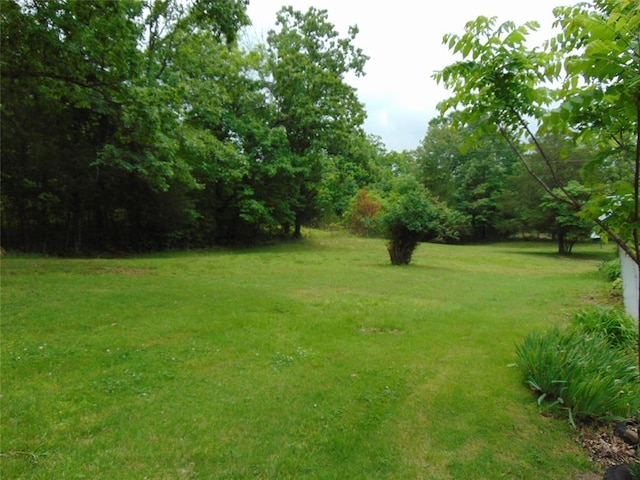 1184 Ripley 21n-10, Doniphan, MO 63935 - view of grassy yard