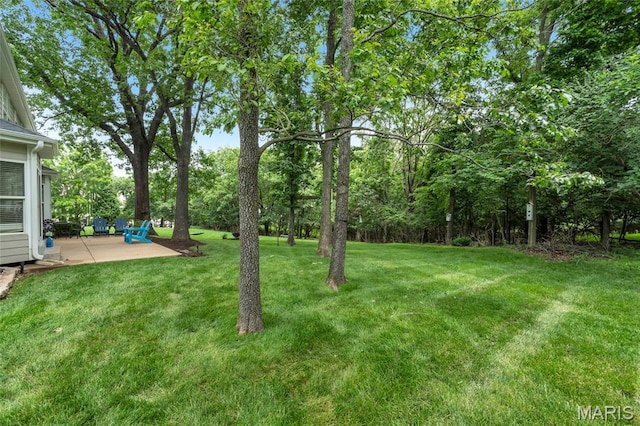 556 Autumn Bluff Dr, Ellisville, MO 63021 - view of grassy yard featuring a patio