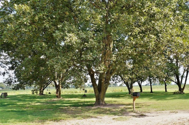 7526 State Highway 164, Cardwell, MO 63829 - surrounding community featuring a lawn