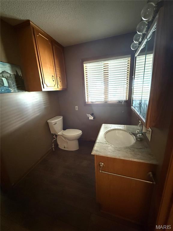 7526 State Highway 164, Cardwell, MO 63829 - bathroom featuring vanity, wood finished floors, and a textured ceiling