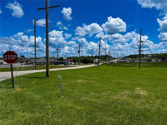 39 Berry Rd, Bonne Terre, MO 63628