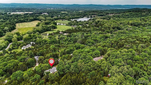 524 Arrowhead Pt, Cedar Hill, MO 63016 - aerial view of property and surrounding area with a forest and a large body of water