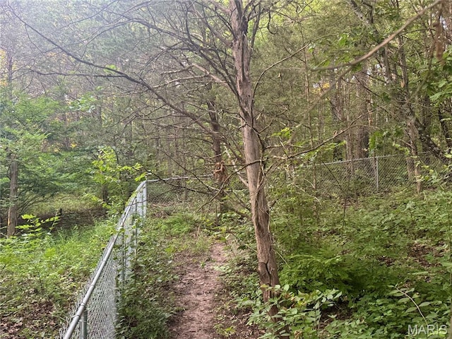 524 Arrowhead Pt, Cedar Hill, MO 63016 - view of wooded area