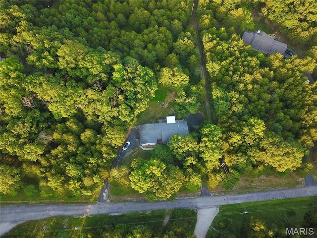 524 Arrowhead Pt, Cedar Hill, MO 63016 - view of property location with a heavily wooded area