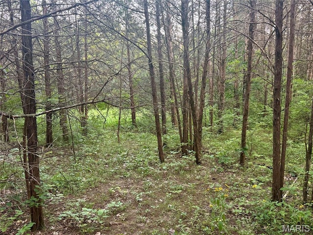 524 Arrowhead Pt, Cedar Hill, MO 63016 - view of wooded area