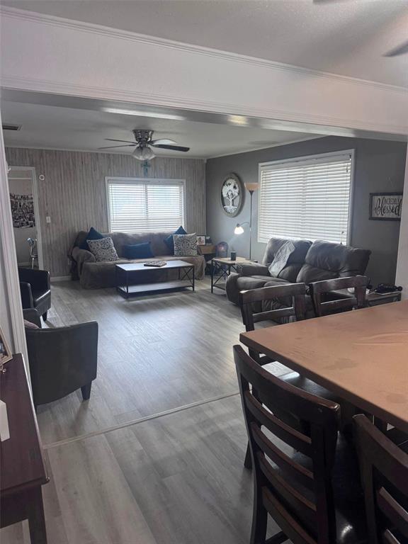 313 W Crumb Ave, Bernie, MO 63822 - living room featuring a ceiling fan, wood finished floors, and ornamental molding