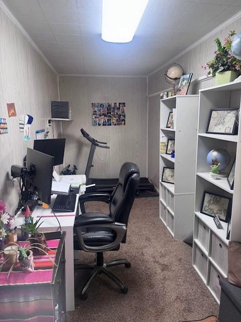 313 W Crumb Ave, Bernie, MO 63822 - home office featuring carpet floors and crown molding