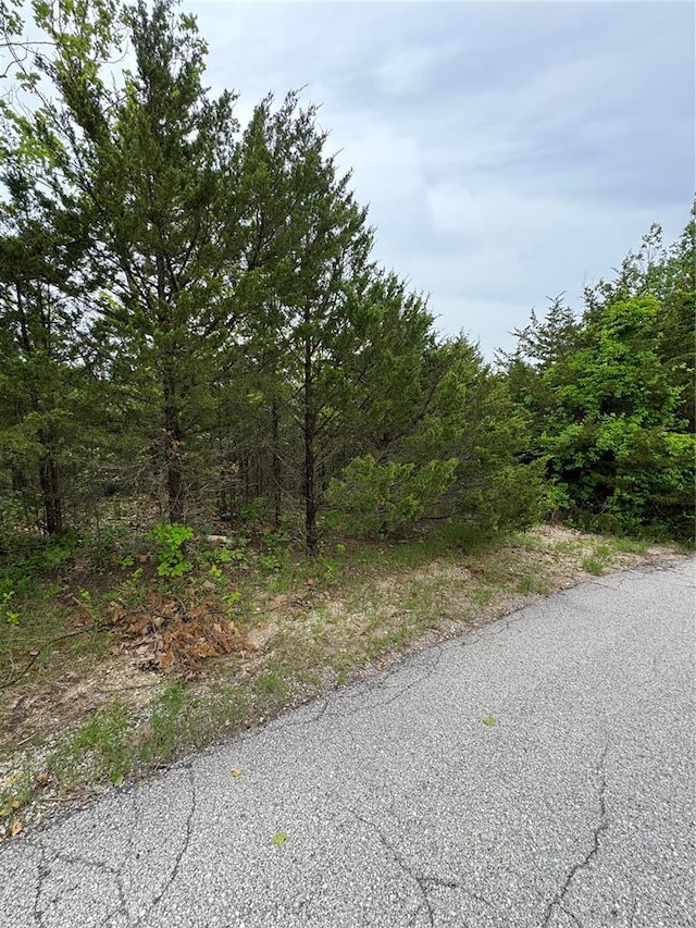 157 Cottonblossom Dr, Hillsboro, MO 63050