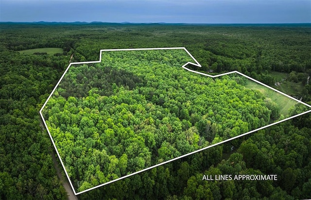 00 County Road 131, Arcadia, MO 63621