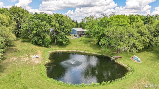 23571 Peppermill Ln, Hettick, IL 62649 - photo 5