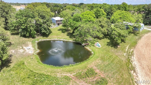 23571 Peppermill Ln, Hettick, IL 62649 - photo 6